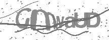 visual captcha